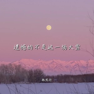 遗憾的不是这一场大雪