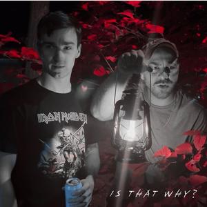 Is That Why? (feat. Jeremy Fitzemeyer) (Explicit)