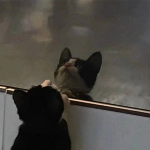 疲惫 (ProdBy Bizy)