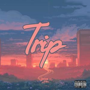Trip(feat. NiccoFeem, Marcus Alland & D. Marie) (Explicit)