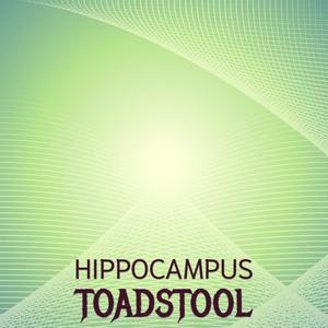 Hippocampus Toadstool