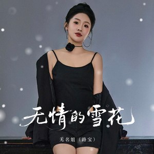无情的雪花 (DJ默涵版)