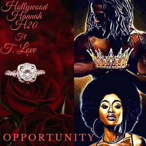 Opportunity (feat. T. Love)