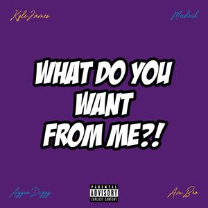 What Do You Want from Me?!(feat. Madrid, Ayyoo Dizzy & Am Bro) (Remix|Explicit)