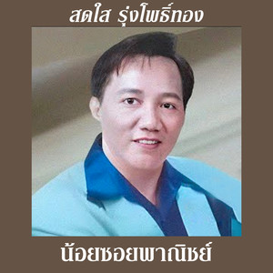 น้อยซอยพาณิชย์