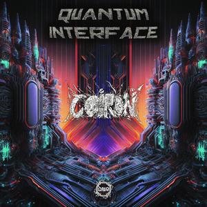 Quantum Interface