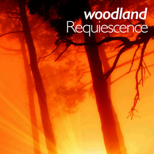 Woodland Requiescence