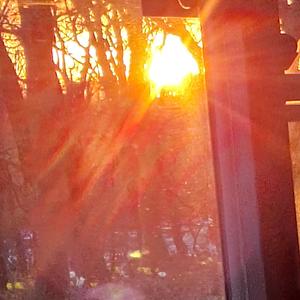 Toadstools (Explicit)