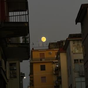 Disordine (feat. Abysso) (Explicit)