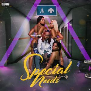 Special Needs (Explicit)