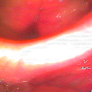 essa é a última que eu vou cantar pra você