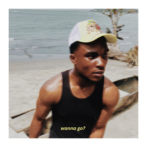 Wanna Go