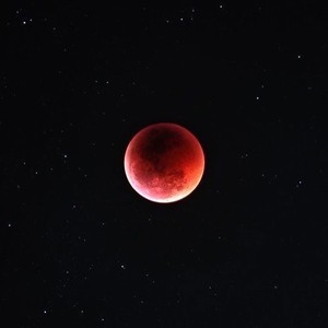 To The Moon(feat. WY@) (Explicit)