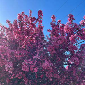 Jesus, Name Above All Names