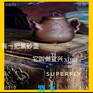 有一把紫砂壶它叫做宜兴