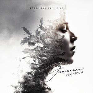 Занимаю ложь