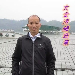 文金涛 - 可可托海的牧羊人