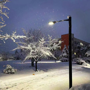 活埋(自从认识你的那一天开始)-野生声线