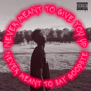 NEVER MEANT TO GIVE YOU UP (Explicit)