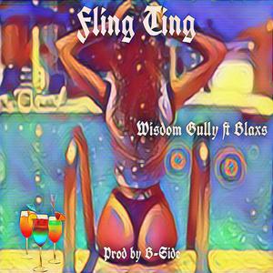 Fling Ting (feat. Blaxs & B-Side ) [Explicit]