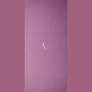 你有没有见过他