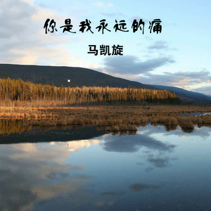 你是我永远的痛