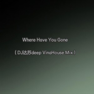 Where Have You Gone (DJ达苏deep VinaHouse Mix版)