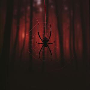 Black Widow (feat. 4TEN) (Explicit)