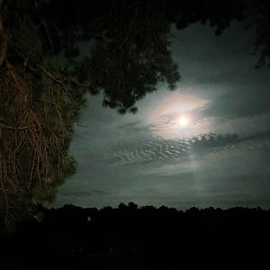 Moon (feat. jen) (Explicit)