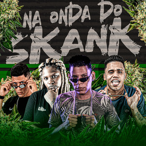 Na Onda do Skank (Explicit)