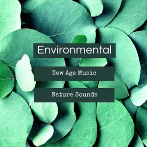 Environmental New Age Music
