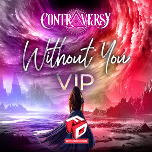 Without You (VIP)