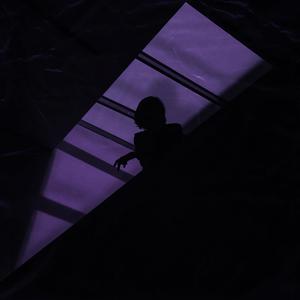 Moonlight (Explicit)