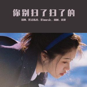 如果没有以后 (DJ版)