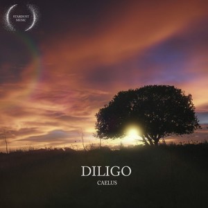 Diligo