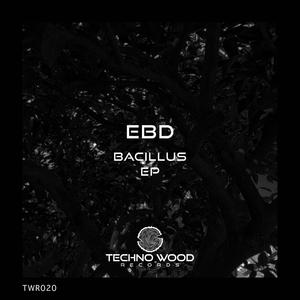 Bacillus EP