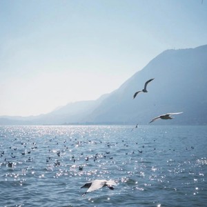 九月底(九月底就要听九月底)