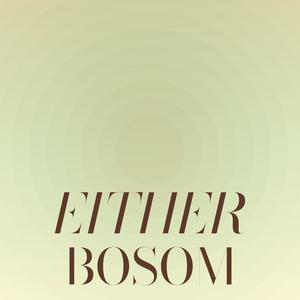 Either Bosom