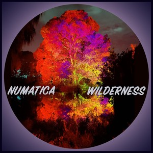 Wilderness in Dub