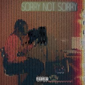 Sorry Not Sorry (Explicit)