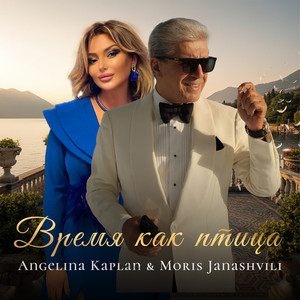 Время как птица