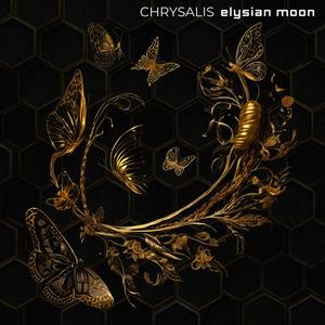 Chrysalis (feat. Clara Nova)