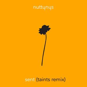 Sent (Taints Remix)