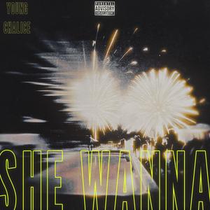 She Wanna (Explicit)