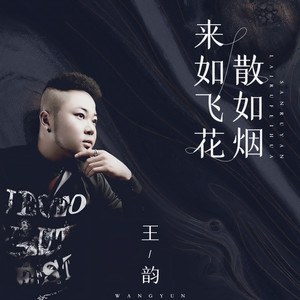 来如飞花散如烟-王韵
