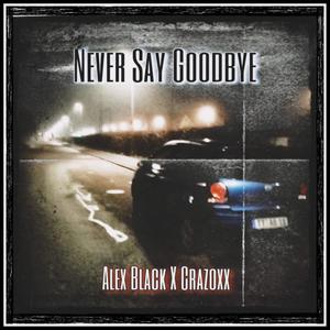 Never Say Goodbye (feat. Alex Black)