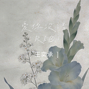 爱你没错 (R&B)封面
