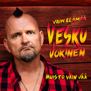 Muisto vain jää (Vain elämää kausi 11)