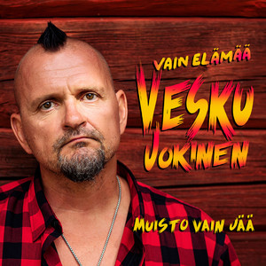 Muisto vain jää(Vain elämää kausi 11)