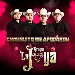 Changuito Me Apodaron (En Vivo)